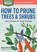 How to Prune Trees & Shrubs, Barbara W. Ellis - Paperback - 9781612125800