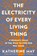 May, K: Electricity of Every Living Thing, Katherine May - Paperback - 9781612199603