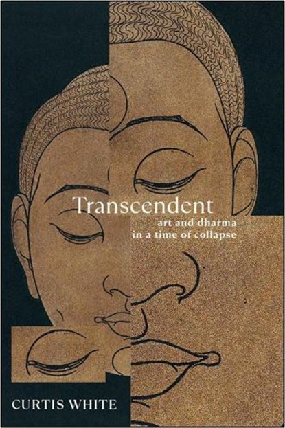 Transcendent, Curtis White - Paperback - 9781612199948