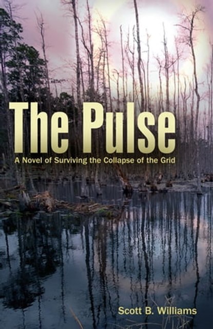 The Pulse, Scott B. Williams - Ebook - 9781612430904