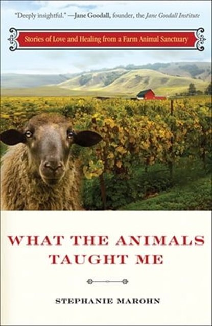 What the Animals Taught Me, Stephanie Marohn - Ebook - 9781612831909