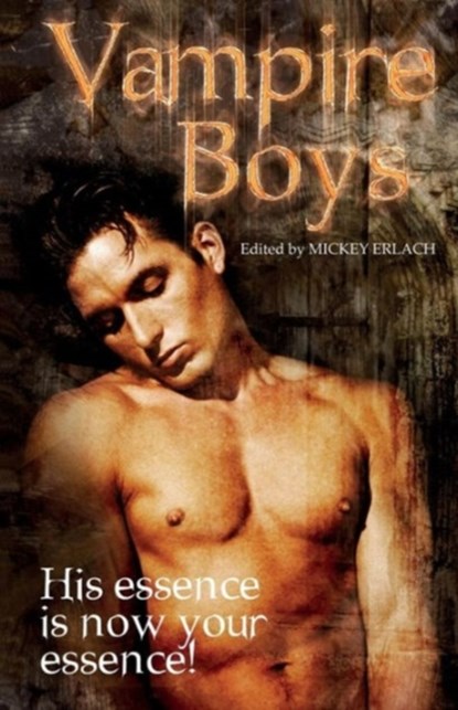 Vampire Boys, Mickey Erlach - Paperback - 9781613030875