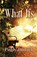What Ifs, Paddy Bostock - Paperback - 9781613096093