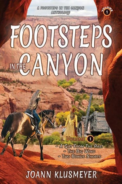 A Gift From the Past and The Big Wind, Joann Klusmeyer - Paperback - 9781613146644