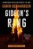 Gideon's Ring, Carin Gerhardsen - Paperback - 9781613168288