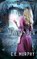 Wayfinder, C E Murphy - Paperback - 9781613171806