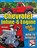 Chevrolet Inline-6 Engine, Deve Krehbiel - Paperback - 9781613258392