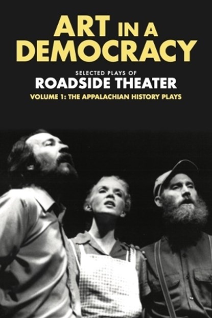 Art in a Democracy, Ben Fink - Gebonden - 9781613321911