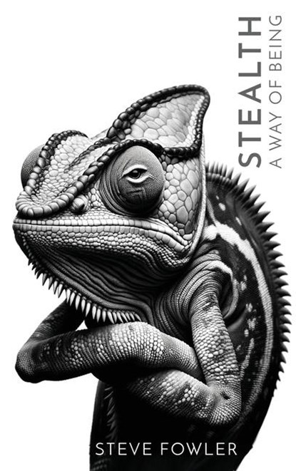 Stealth, Steve Fowler - Gebonden - 9781613431771