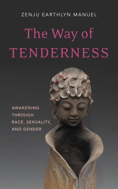 The Way of Tenderness, Zenju Earthlyn Manuel - Ebook - 9781614291497