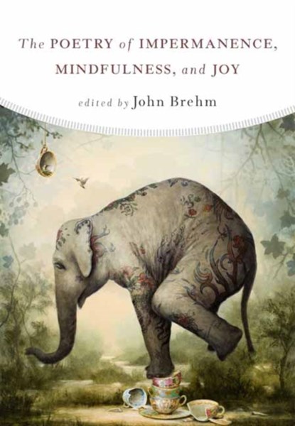 The Poetry of Impermanence, Mindfulness, and Joy, John Brehm - Paperback - 9781614293316