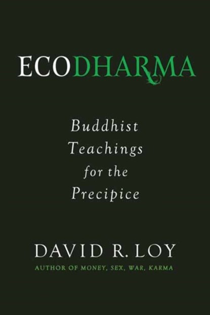 Ecodharma, David Loy - Paperback - 9781614293828