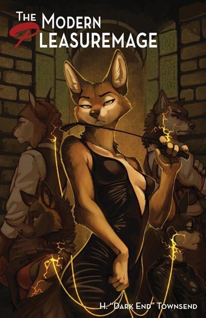 The Modern Pleasuremage, H. "Dark End" Townsend - Paperback - 9781614506935