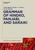 A Descriptive Grammar of Hindko, Panjabi, and Saraiki | Bashir, Elena ; Conners, Thomas J. | 
