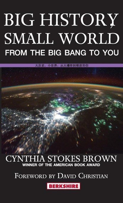 Big History, Small World, Cynthia Stokes Brown - Gebonden - 9781614728580