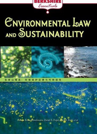 Environmental Law and Sustainability, Ray C. Anderson - Paperback - 9781614729914