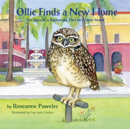 Ollie Finds a New Home, The Story of a Burrowing Owl on Marco Island, Roseanne Pawelec - Paperback - 9781614933830