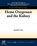 Heme Oxygenase and the Kidney, David Stec - Paperback - 9781615042135