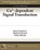 Ca2+-dependent Signal Transduction, James D. Johnson ; Michael J. Bround ; Tobias Albrecht - Paperback - 9781615046645