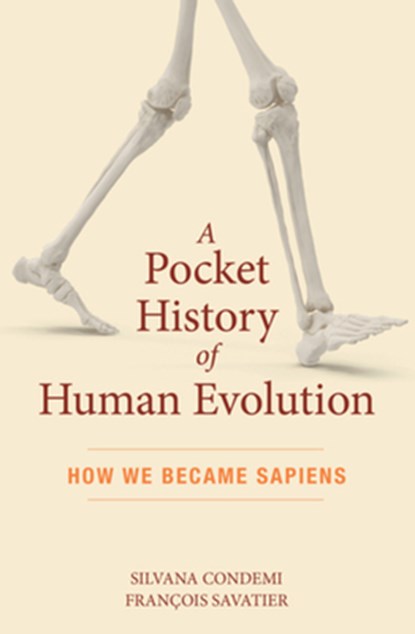 A Pocket History of Human Evolution, Silvana Condemi ; Francois Savatier - Paperback - 9781615196043
