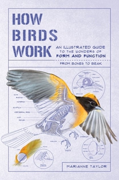 How Birds Work: An Illustrated Guide to the Wonders of Form and Function - From Bones to Beak, Marianne Taylor - Paperback - 9781615196470