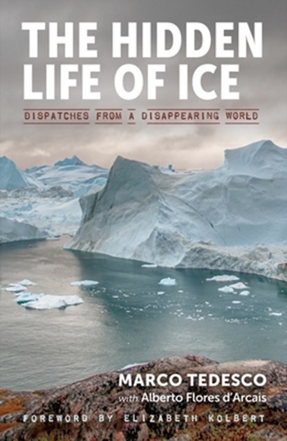 HIDDEN LIFE OF ICE, Alberto Flores d'Arcais - Gebonden - 9781615196999