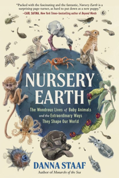 Nursery Earth, Danna Staaf - Gebonden - 9781615199327