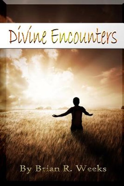 Divine Encounters, Brian R Weeks - Paperback - 9781615291892