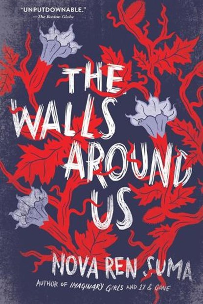 The Walls Around Us, Nova Ren Suma - Paperback - 9781616205904