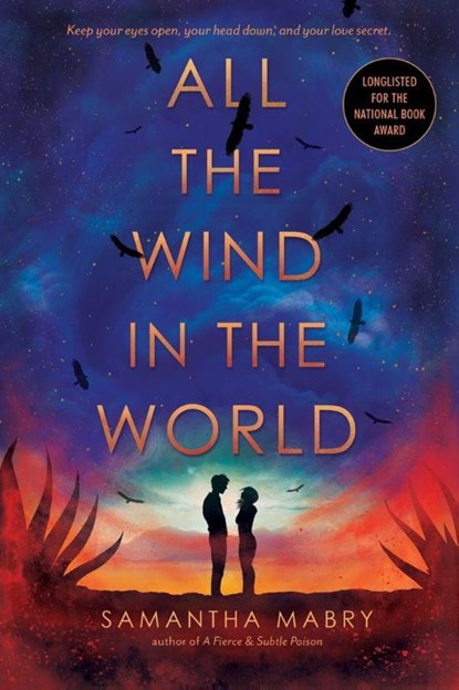 All the Wind in the World, Samantha Mabry - Paperback - 9781616208554