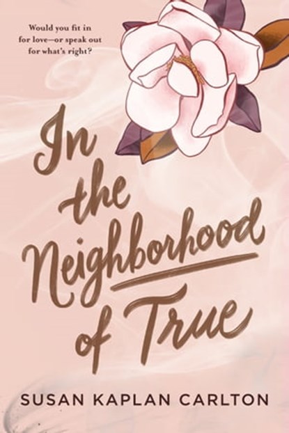 In the Neighborhood of True, Susan Kaplan Carlton - Ebook - 9781616209292