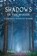 Shadows in the Woods, Daniel S Green - Paperback - 9781616462840