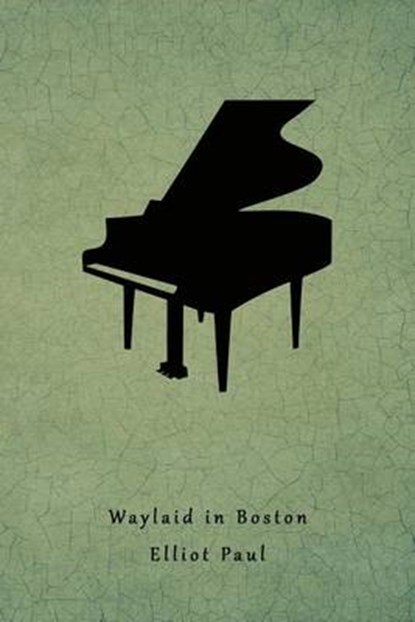 Waylaid in Boston: (A Homer Evans Mystery), Elliot Paul - Paperback - 9781616463427