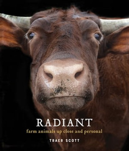 Radiant, Marjorie Luckey - Ebook - 9781616897758