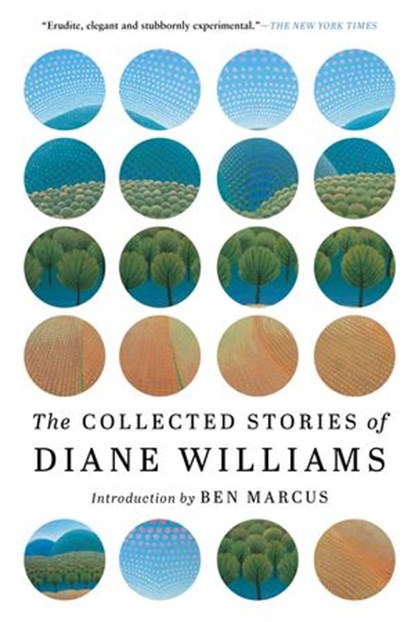 The Collected Stories of Diane Williams, Diane Williams - Ebook - 9781616959838