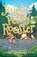 Jules, Penny & The Rooster, Daniel Pinkwater - Paperback - 9781616964320