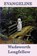 Evangeline, Henry Wadsworth Longfellow - Paperback - 9781617207006