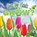 How Do Plants Grow?, Julie Lundgren - Paperback - 9781617419232