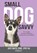 Small Dog Savvy, Kate Naito - Paperback - 9781617813016