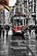 Investigating Turkey, David Mason - Gebonden - 9781618116284