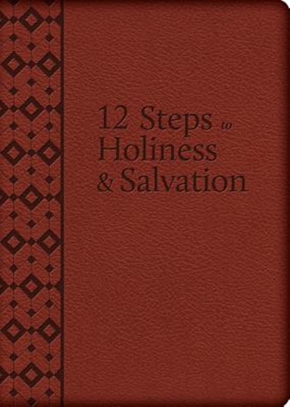 The 12 Steps to Holiness and Salvation, Liguori - Gebonden - 9781618909220