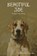 Beautiful Joe, Marshall Saunders - Paperback - 9781618951502