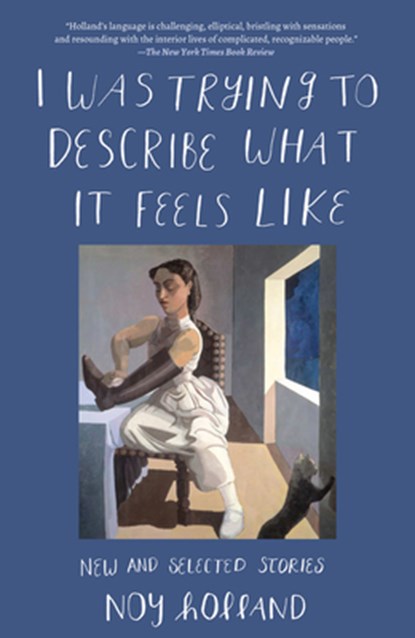I WAS TRYING TO DESCRIBE WHAT, Noy Holland - Paperback - 9781619025936