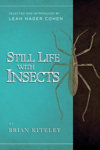Still Life with Insects, Brian Kiteley - Ebook - 9781619026506