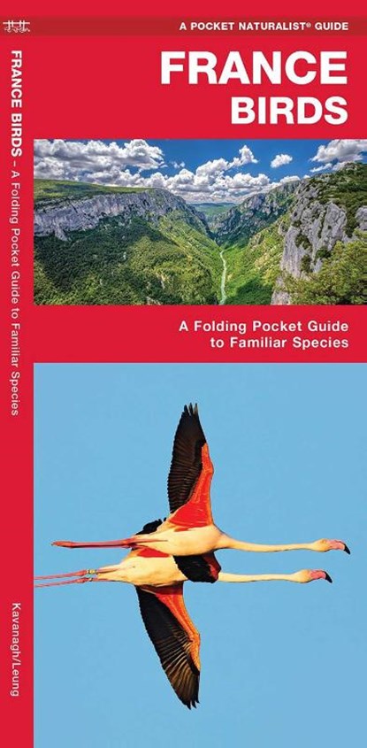 France Birds, James Kavanagh ; Waterford Press - Gebonden - 9781620053447