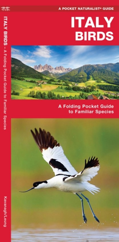 Italy Birds, James Kavanagh ; Waterford Press Waterford Press - Gebonden - 9781620053461
