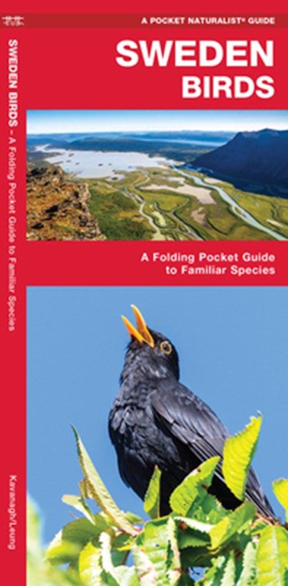 Sweden Birds, JAMES,  Waterford Press Kavanagh ; Waterford Press Waterford Press - Gebonden - 9781620053508