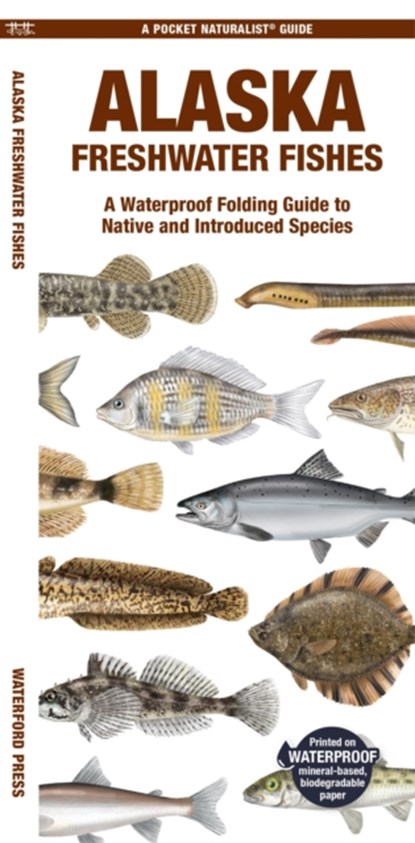 Alaska Freshwater Fishes, Matthew Morris - Gebonden - 9781620056035