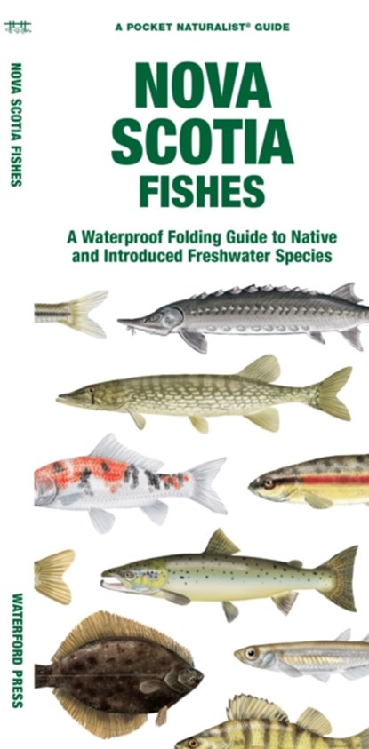 Nova Scotia Fishes, Waterford Press Waterford Press ; Matthew Morris - Gebonden - 9781620056080