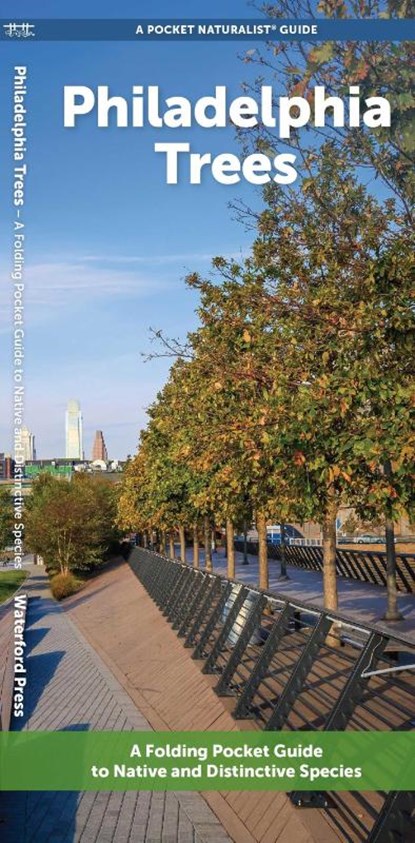 Philadelphia Trees, J M Kavanagh - Gebonden - 9781620056493